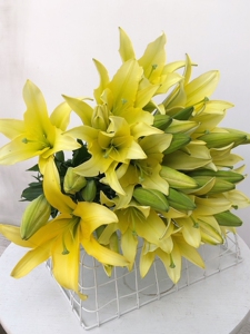 三头黄蜂百合香水百合5枝10枝顺丰冷链包邮云南鲜花