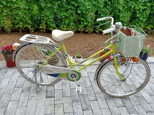 二手日本燕牌自行车