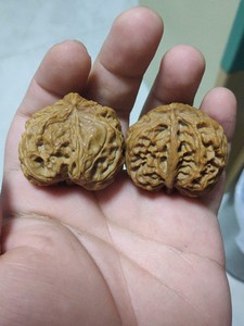 野牛文玩核桃