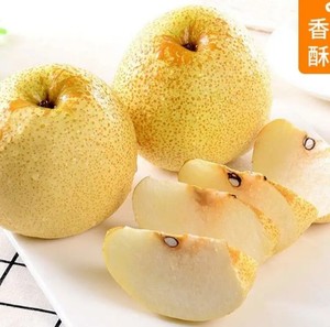 汤山梨