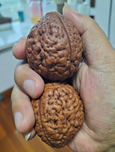 印尼三瓣大金刚脑纹手球,原生态秒沉水红皮果手把件高密度保健球