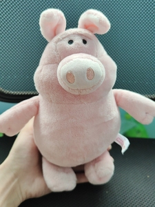 nici坏蛋猪,25cm左右,有颗粒,单个可包邮除偏远,拍下