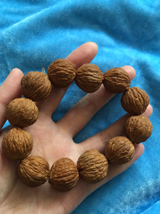 美国猴头大核桃