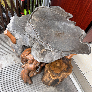 杜鹃木,树抱石茶台