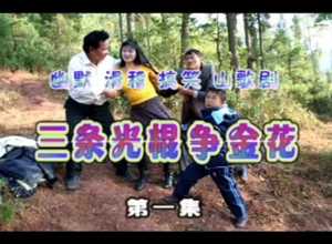 云南山歌剧vcd刻录光盘民间小调碟片山歌碟《三条光棍争金花》