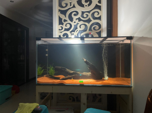 超白鱼缸,120,60,60,玻璃12mm,看上的联系,自提