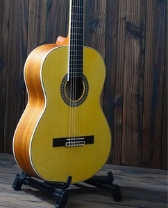 000人付款淘宝marth吉他 马斯吉他假装是只汪1200.