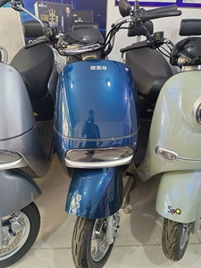 速派奇电动车,原装60伏大容量电瓶,原价三千多现在淡季促销2