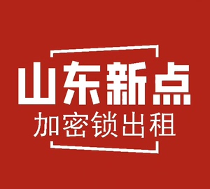 山东新点加密锁 新点计价软件 远程出租