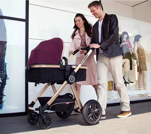 smwuzicong淘宝hope呵宝 golden baby鑫贝童车配件婴幼儿手推车轮毂