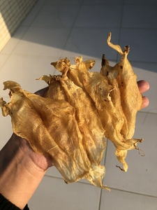 大耳金钱片大耳北海赤嘴鱼胶,50头一斤,老货干干脆脆!