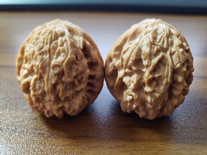 野生粗筋平谷暴雪狮子头文玩核桃