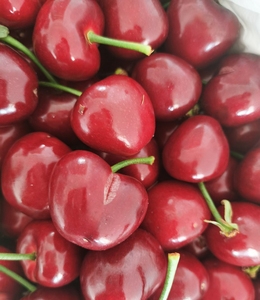 轻微裂口大樱桃(已售完)