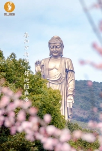 灵山大佛年卡