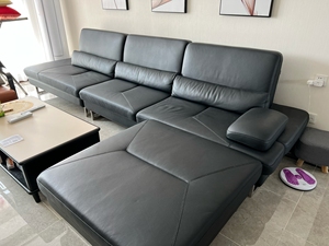 舒丽雅真皮沙发