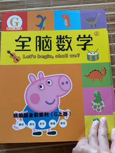 斯奎尔全脑数学f  g  h  i   4个阶段11册全套