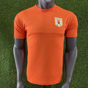 2021山东鲁能泰山训练服球衣球员教练版polo中超短袖无袖