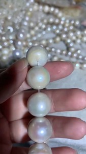 天然老珍珠11－15mm老东珠老珍珠 淡水老珍珠