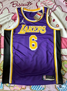 nba正版球衣(6号詹姆斯sw球迷版),仅试穿过两次(买大了_阿里巴巴找货