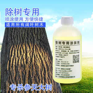 烂大树根