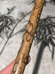 一段梅鹿竹斑竹湘妃竹笔杆料竹杆笔筒香筒 茶针料修配标本手工竹