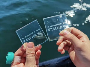 宝髻如来护生咒