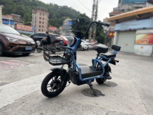 雅迪小飞象3.0 石墨烯电池 冠能电机