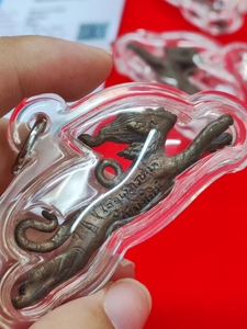 【古巴磐石食人虎】古巴磐石食人虎品牌,价格 - 阿里巴巴