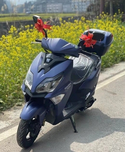 能上牌的踏板摩托车