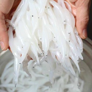 冷冻野生银鱼