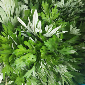 纯天然野生新鲜艾草嫩艾叶食用江西艾粄糍粑叶清明草蒿子青团原料