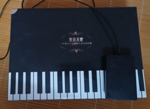 000人付款淘宝闲置 美音天使手卷钢琴 便携式加厚专业版爱卯卯
