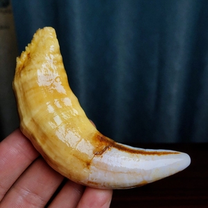 牙雕礼品骆驼牙