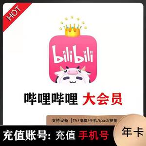 哔哩哔哩电视tv大会员年卡 b站bilibili会员12个月
