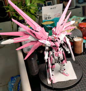 万代mg自由高达2.0,喷涂,樱花粉配色,贴有樱花水帖