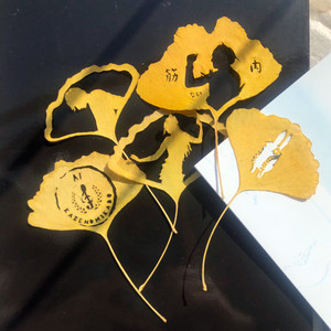 【叶雕】同人手作树叶雕刻/书签/挂件/纸雕