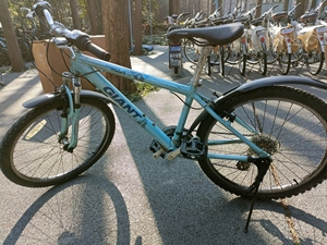 二手捷安特chasers540,24寸!适合小个子!嘉定专卖