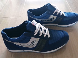 上海大博文马拉松龙鞋男女同款！蓝色全新40码，带原厂鞋盒！低