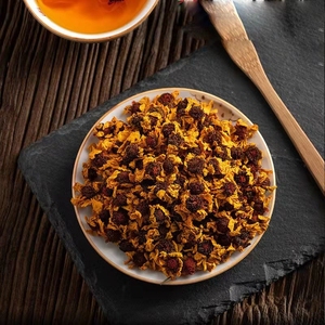 新疆野生红菊花