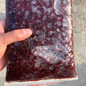 冰冻红虫,红虫,一斤装冰冻红虫,不新鲜直接可以拒收,让您买的