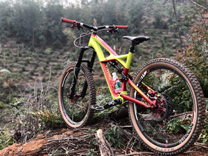 出enduro软尾车架 后胆,闪电山地车enduro s-w