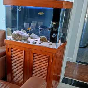 水猎人鱼缸.80/50/55.仟湖全套变频加热棒,水泵.全套