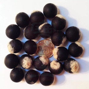 这种果实是无患子(或者叫肥皂果)的果核,可用于diy手串.因