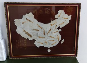 鱼化石中国地图