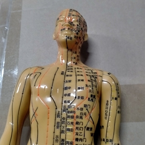 人体经络穴位模型   男模型铜色  配送穴位图 穴位书 针灸