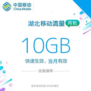 湖北移动流量充值10g中国移动流量加油包4g5g全国通用流量