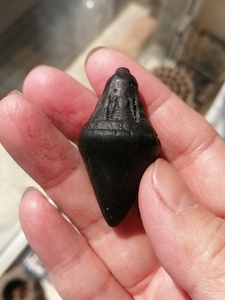 藏传藏区收的老魔笛擦擦,几十年,明显可见物质颗粒,磨损包浆舒