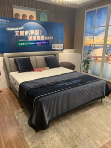 全新 欧派多纳皮床 欧派多纳床垫一套欧派多纳皮床加床垫一套