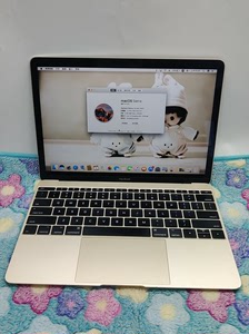 二手闲置转让香槟金色17款macbook12英寸苹果笔记本电