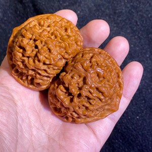 文玩核桃官帽麒麟